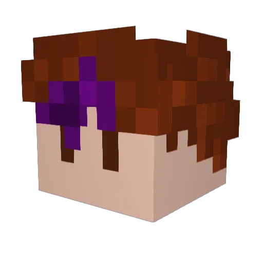 Spirit1360 Minecraft avatar head, 3D render