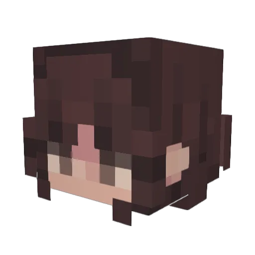 Spirit81215 Minecraft avatar head, 3D render