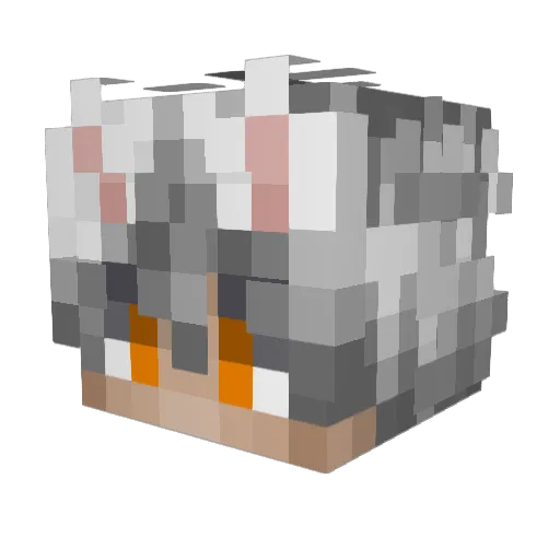 Spirit9697 Minecraft avatar head, 3D render