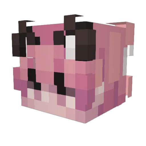 SpiritB0y Minecraft avatar head, 3D render