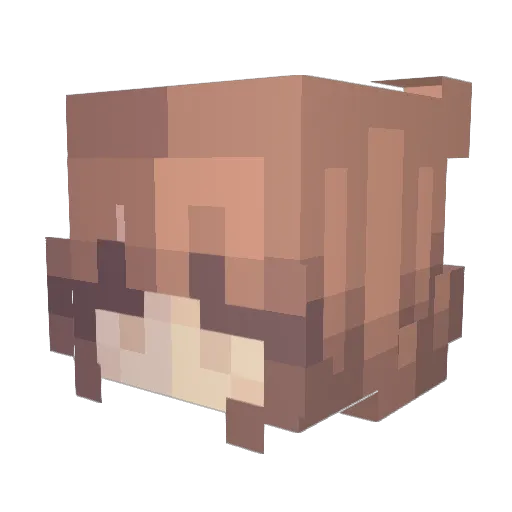 SpiritChild3 Minecraft avatar head, 3D render