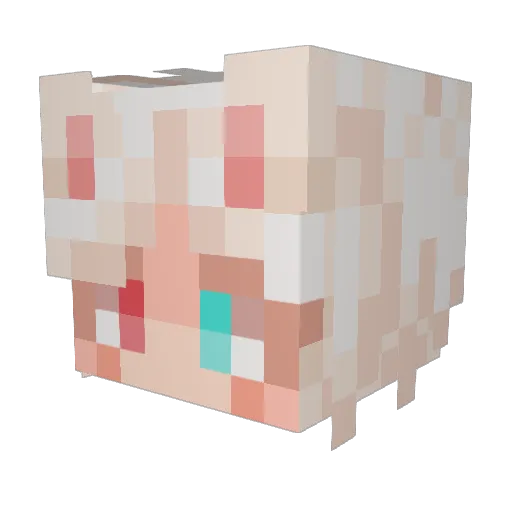 SpiritSkies Minecraft avatar head, 3D render