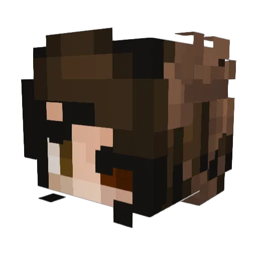 SpiritTalisman Minecraft avatar head, 3D render