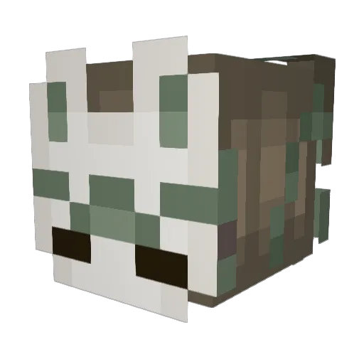 SpiritWillow Minecraft avatar head, 3D render