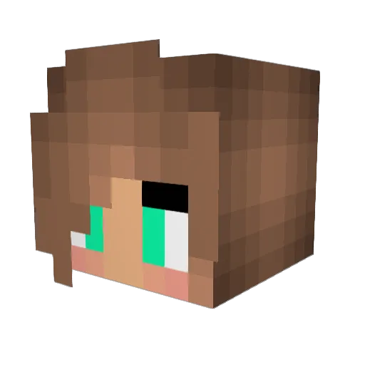 SpiritWolf__7 Minecraft avatar head, 3D render