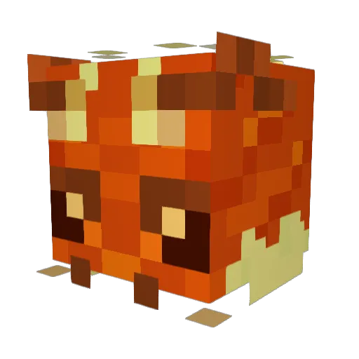 Spirit_Pyrite Minecraft avatar head, 3D render