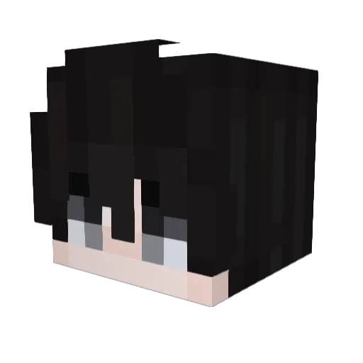 Minecraft-Avatar von Spirit_Scavenger: Kopf als 3D-Render