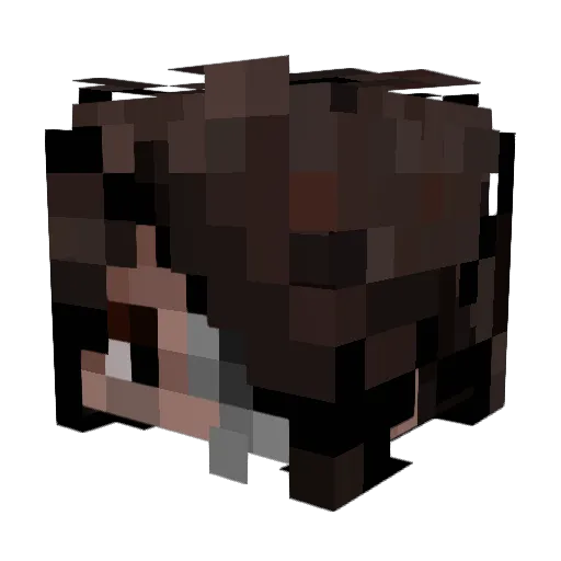 SpiritedMohave Minecraft avatar head, 3D render