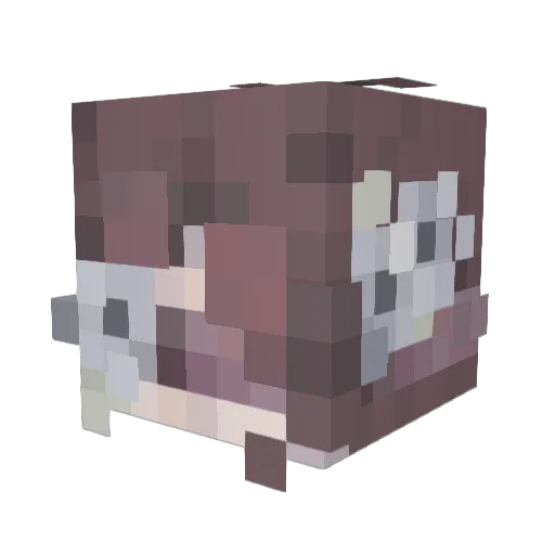 SpiritedMoth415 Minecraft avatar head, 3D render