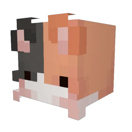 Spiritfeatherzz Minecraft avatar head, 3D render
