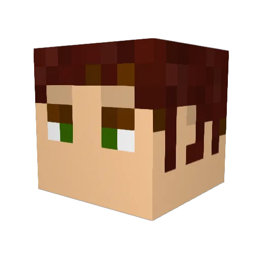 SpiritualNinja Minecraft avatar head, 3D render