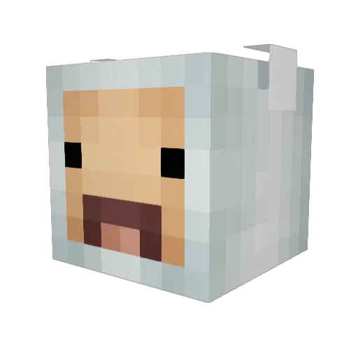 SpitFire013 Minecraft avatar head, 3D render
