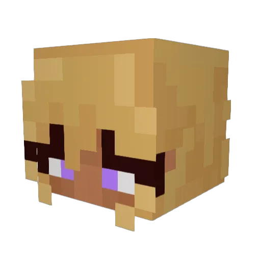 Spitfire_0789 Minecraft avatar head, 3D render