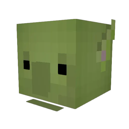 Spitfire_3251 Minecraft avatar head, 3D render