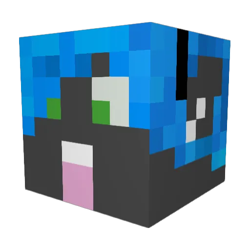 SpittyNoodle Minecraft avatar head, 3D render