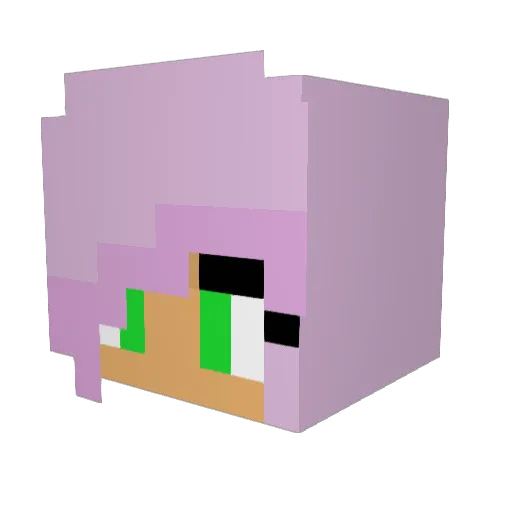 Spjr23 Minecraft avatar head, 3D render