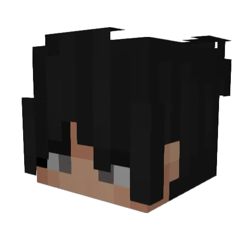 Spl1tW Minecraft avatar head, 3D render