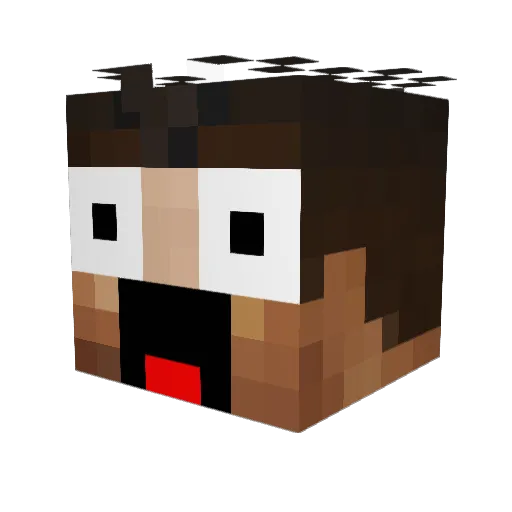 Spl1tz101 Minecraft avatar head, 3D render
