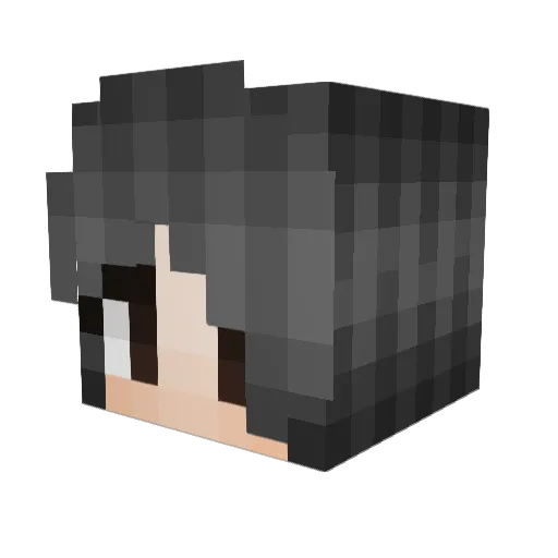 SplashKitty1230 Minecraft avatar head, 3D render