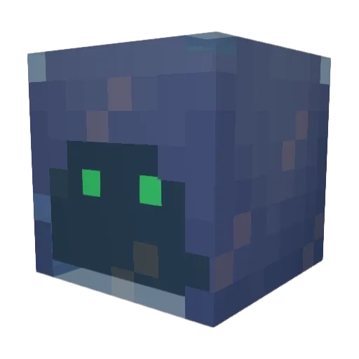 SplashNation Minecraft avatar head, 3D render
