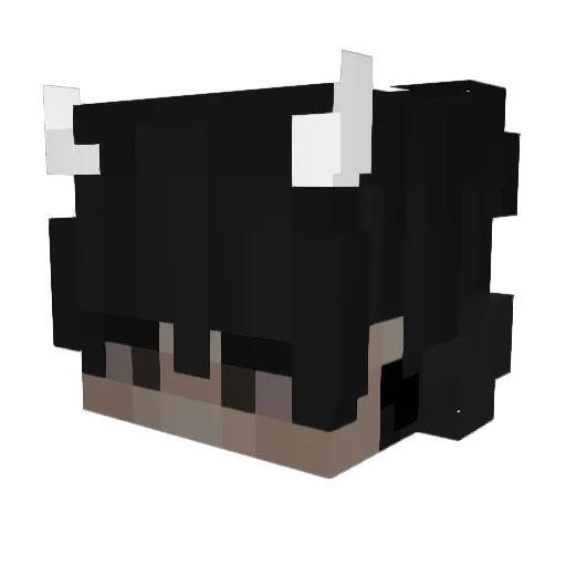 SplashPhobic Minecraft avatar head, 3D render