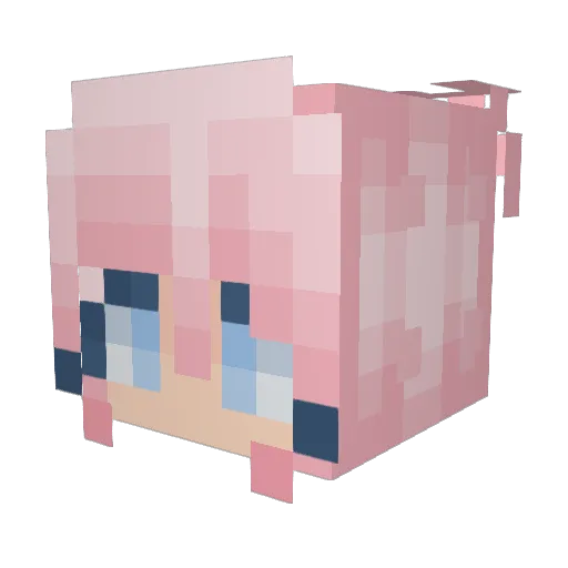 Splash_7404 Minecraft avatar head, 3D render