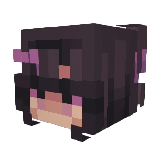 Splash_FFS Minecraft avatar head, 3D render