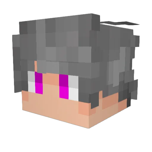 SplasherPVP Minecraft avatar head, 3D render
