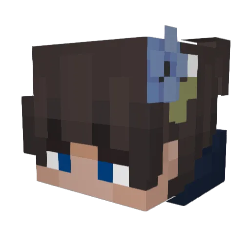 Splashion Minecraft avatar head, 3D render