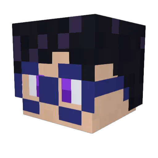 Minecraft-Avatar von Splashy1902: Kopf als 3D-Render