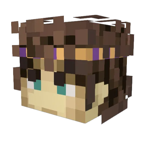 SplashyM490 Minecraft avatar head, 3D render