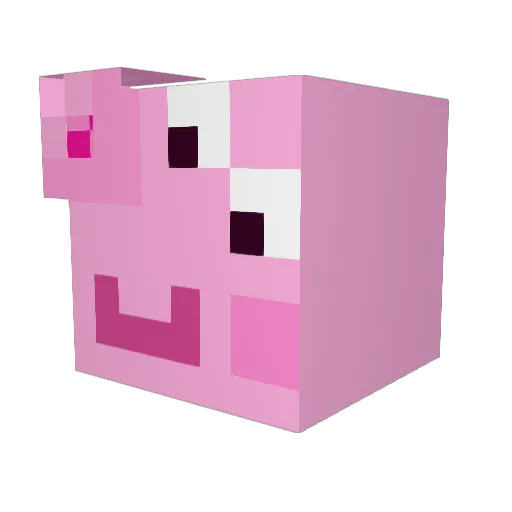 SplashySeal Minecraft avatar head, 3D render