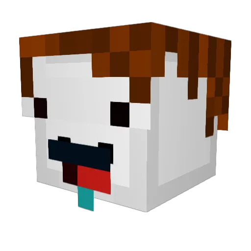 SplashySphere44 Minecraft avatar head, 3D render