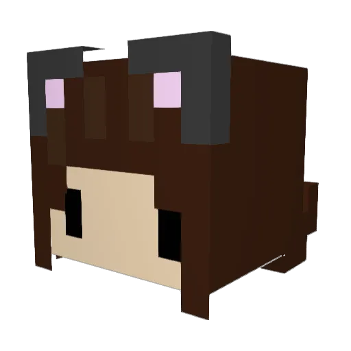 SplatTheCat Minecraft avatar head, 3D render