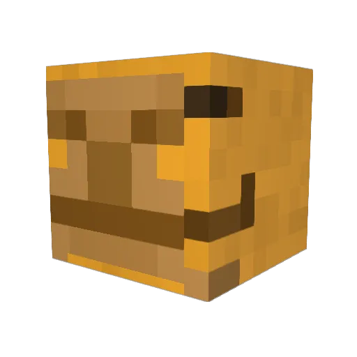 Splat_Gamer Minecraft avatar head, 3D render
