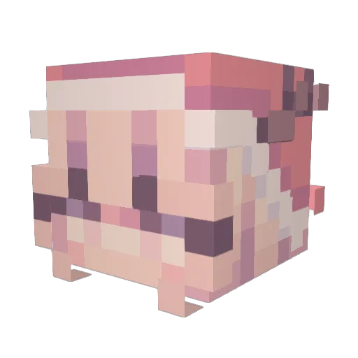 Splatoon3001 Minecraft avatar head, 3D render