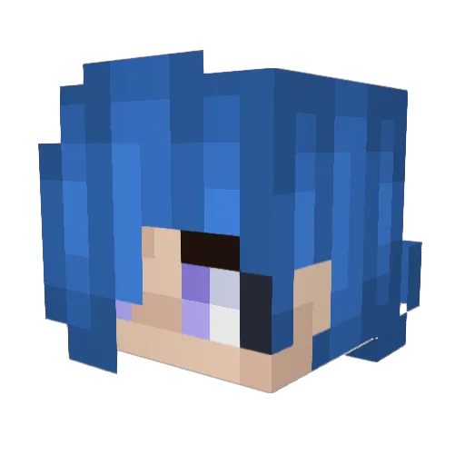 Splatoonfan46 Minecraft avatar head, 3D render
