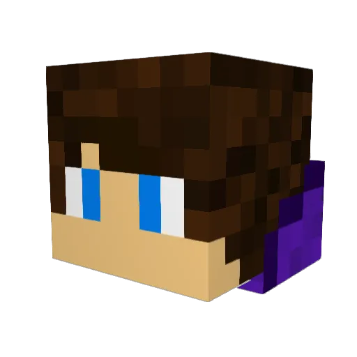 Splavocado Minecraft avatar head, 3D render
