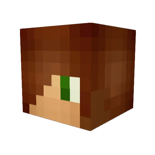 SplayAphid954 Minecraft avatar head, 3D render