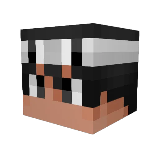 SpleeTzLINDOSO Minecraft avatar head, 3D render
