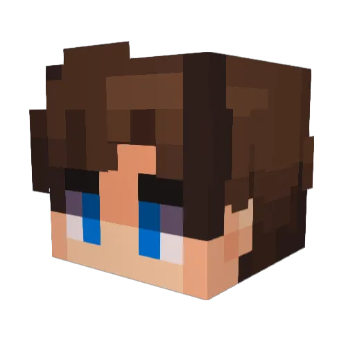 Spleefeer Minecraft avatar head, 3D render