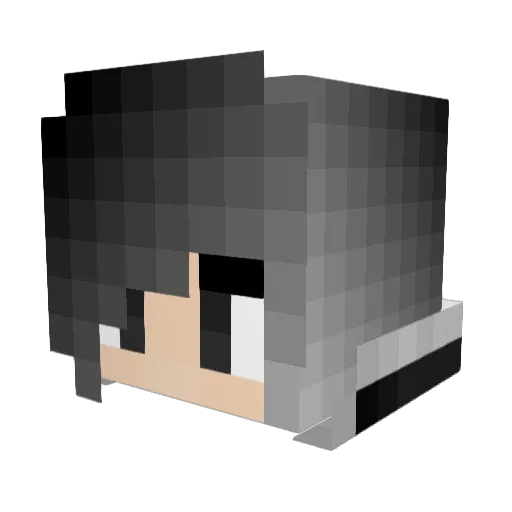 Spleefer_pro12 Minecraft avatar head, 3D render