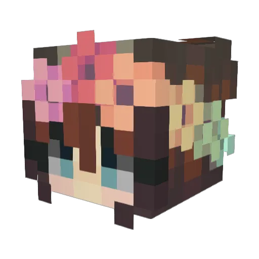 Spleefie Minecraft avatar head, 3D render