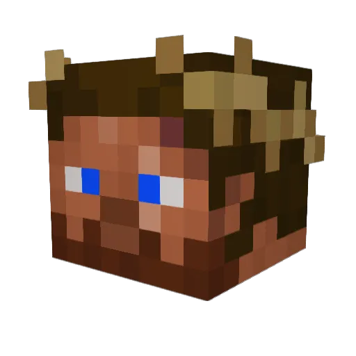 Spleeforce Minecraft avatar head, 3D render
