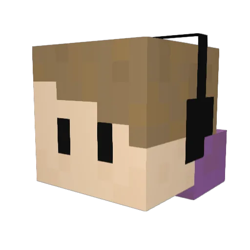 Spleen__ Minecraft avatar head, 3D render