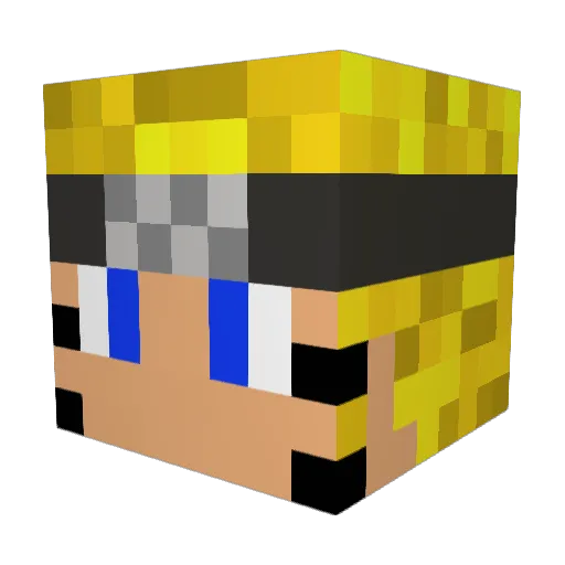 SplendidMiner Minecraft avatar head, 3D render
