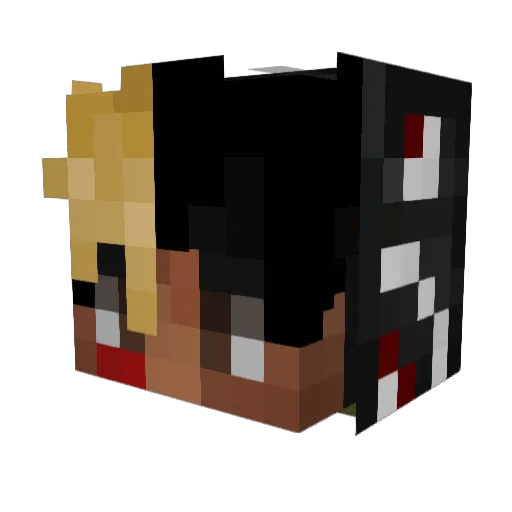 Splexy_ Minecraft avatar head, 3D render