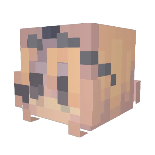 Spliceyyyy Minecraft avatar head, 3D render