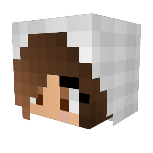 Splincher Minecraft avatar head, 3D render