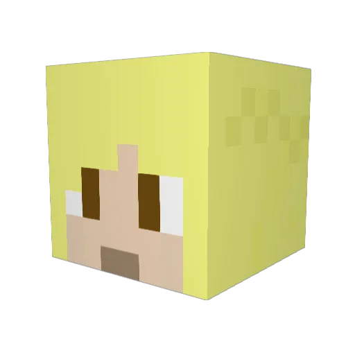 Splinter001 Minecraft avatar head, 3D render